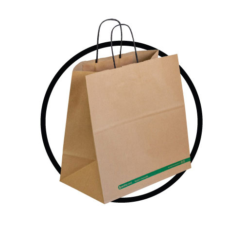 Paper Carry Bags