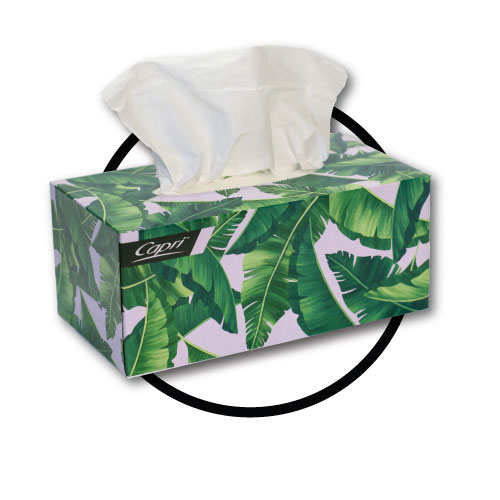 Facial Tissues